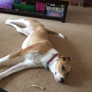 Meet your Posher, Shania